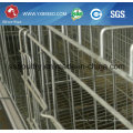 Bird Cage for Layer or Broiler in India